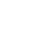 Evolution games at Total Gold Casino
